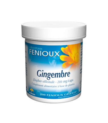 Gingembre - 280 mg - gélules