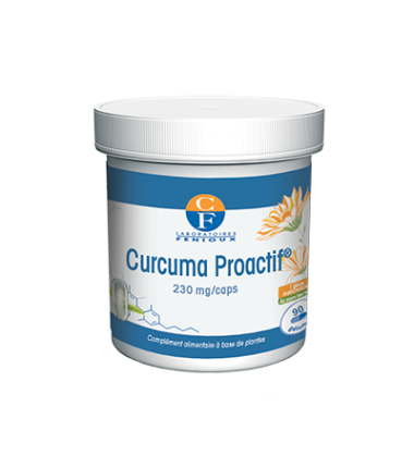 CURCUMA PROACTIF - 2X90 gélules