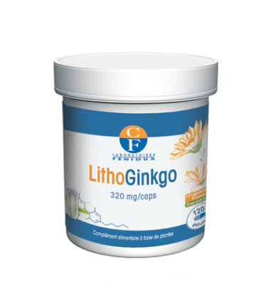 LITHOGINKGO BILOBA 120 gélules