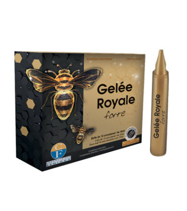 GELEE ROYALE FORTE - 14 unicadoses de 10 ml