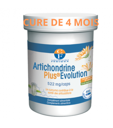 ARTICHONDRINE PLUS EVOLUTION  - 480 gélules