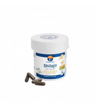 SHILAJIT - 60 gélules