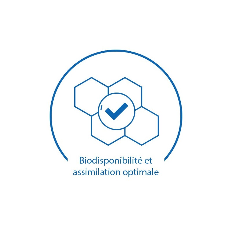 Biodisponibilité et assimilation optimale
