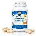 lactobacillus_crispatus_avec_gelules.webp