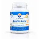 quercetine_concept_sans_gelules.webp