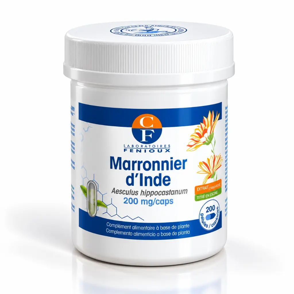 Pot de marronnier d’Inde blanc et bleu.webp