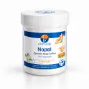 nopal.webp