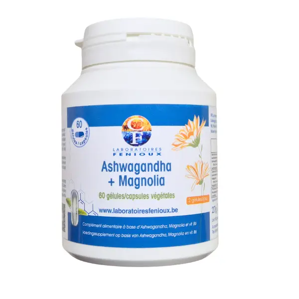 Design sans titre - 2026-02-23T163818.325.webp