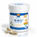 MMS - 200 gélules