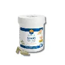 CASSIS - 200 gélules