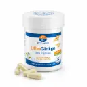 LITHOGINKGO BILOBA 120 gélules