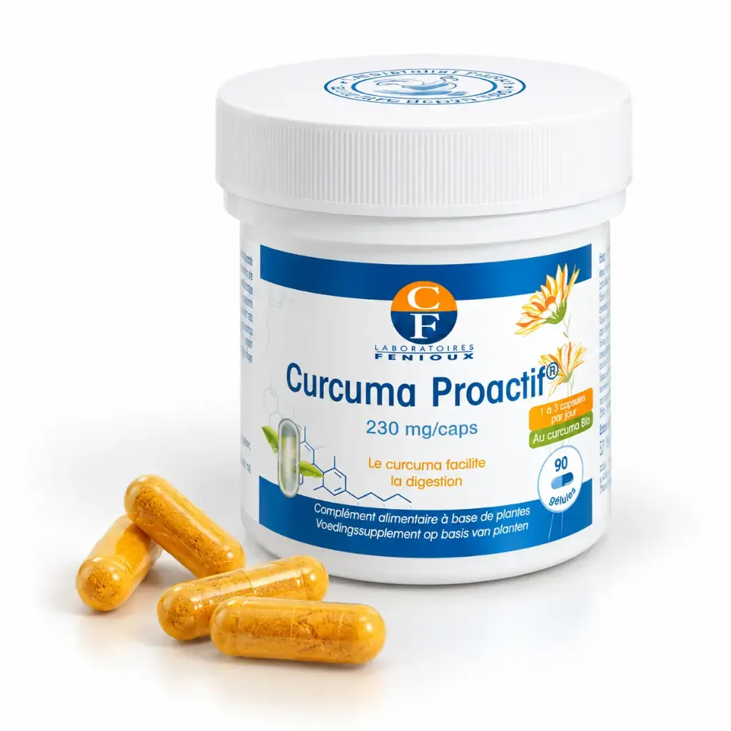 CURCUMA PROACTIF - 2X90 gélules