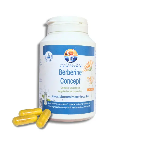 BERBERINE CONCEPT - 120 gélules
