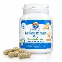 FER FORTE CONCEPT 45MG - 90 gélules