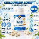GLUCOSAMINE HA CONCEPT - 90 gélules