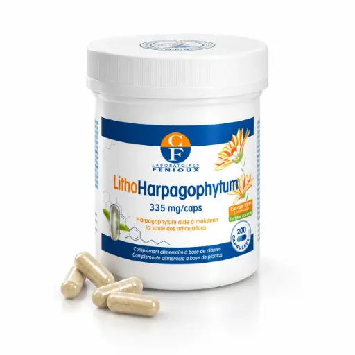 [G338] LITHOHARPAGOPHYTUM - 200 gélules