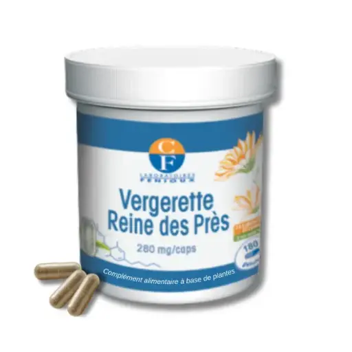 [G549] VERGERETTE-REINE DES PRES - 180 gélules