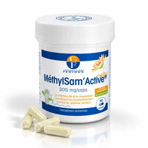 [G722] METHYLSAM'ACTIVE® - 90 gélules