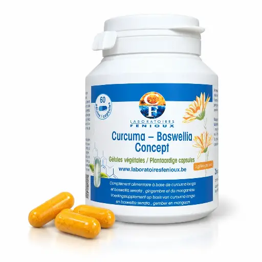 [G794] CURCUMA-BOSWELLIA CONCEPT 60 gélules